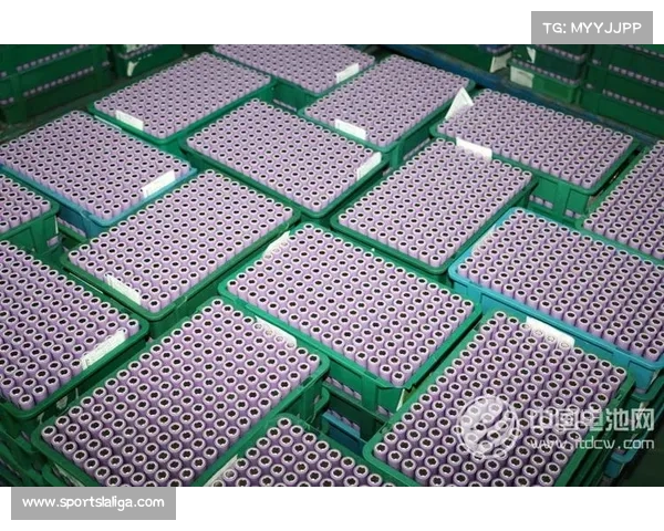 生物降解计时器投用 一次性电池淘汰加速